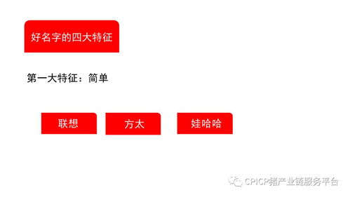 从无到有 肖一刀如何打造猪肉品牌的创新之路